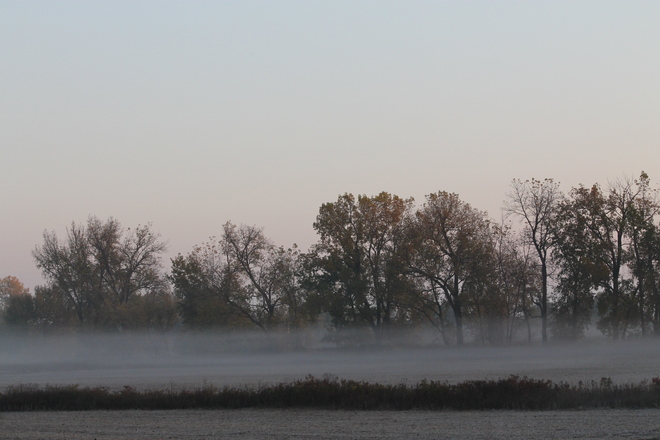 Morning Fog Windsor, Ontario Canada