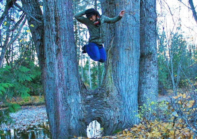 Jumping through the tree. Kamloops 1, British Columbia Canada