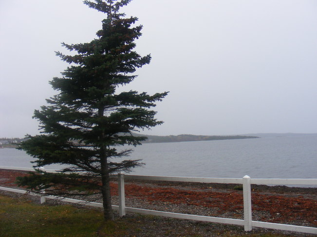 Raining Birchy Bay, Newfoundland and Labrador Canada