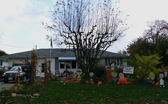 It's a great pumpkin, Charlie Brown ! Waterford, Ontario Canada