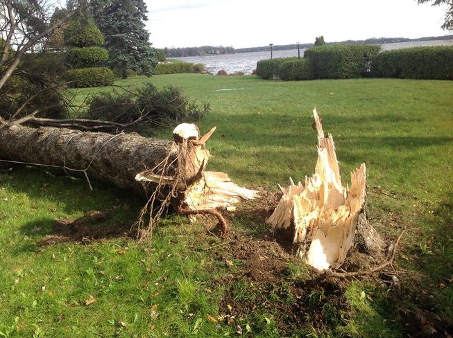 Wind Storm Damage Sainte-Marthe-sur-le-Lac, Quebec Canada