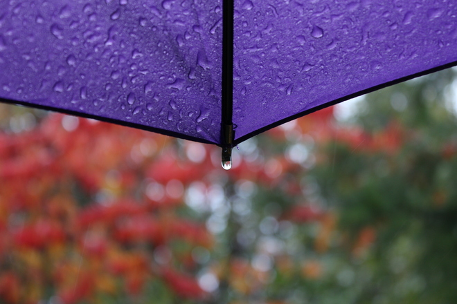 under my umbrella Surrey, British Columbia Canada