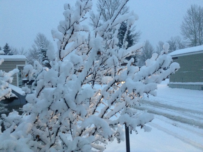 Snowfall Red Deer, Alberta Canada