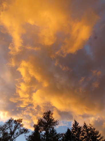 Orange Clouds Port Alberni, British Columbia Canada