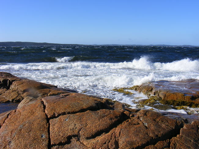 Crashing Waves Birchy Bay, Newfoundland and Labrador Canada