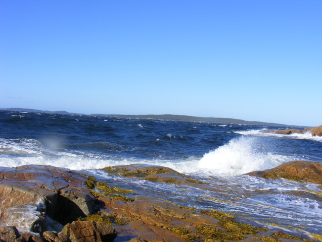 More Waves Birchy Bay, Newfoundland and Labrador Canada