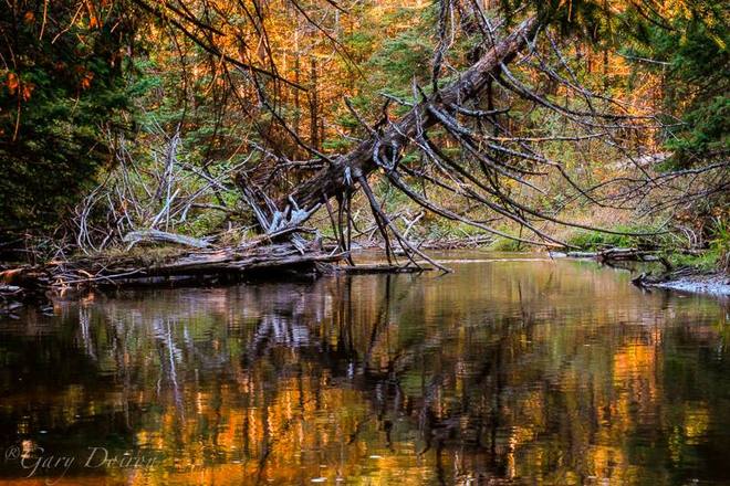 Fall Reflections Springwater, Ontario Canada