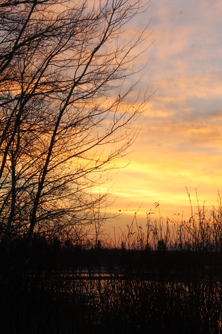 Sunrise in Cat Lake Cat Lake, Ontario Canada