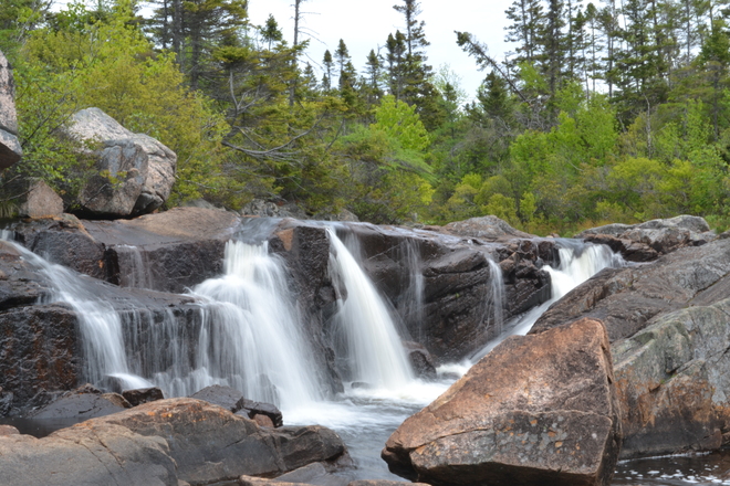 small waterfalls Holyrood, Newfoundland and Labrador Canada