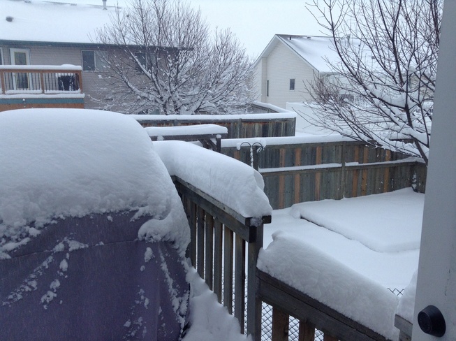Snow! Red Deer, Alberta Canada