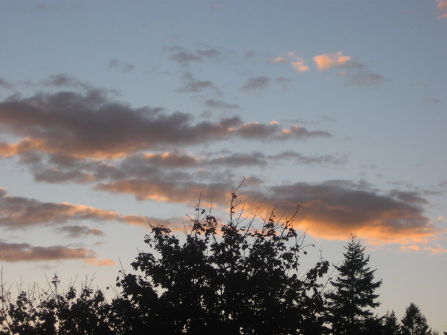 fish clouds? Surrey, British Columbia Canada