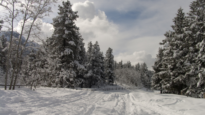 Winter Scene Sartoris Rd. Blairmore, Alberta Canada