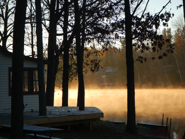 Cold Misty Morning Gladwin, Michigan United States