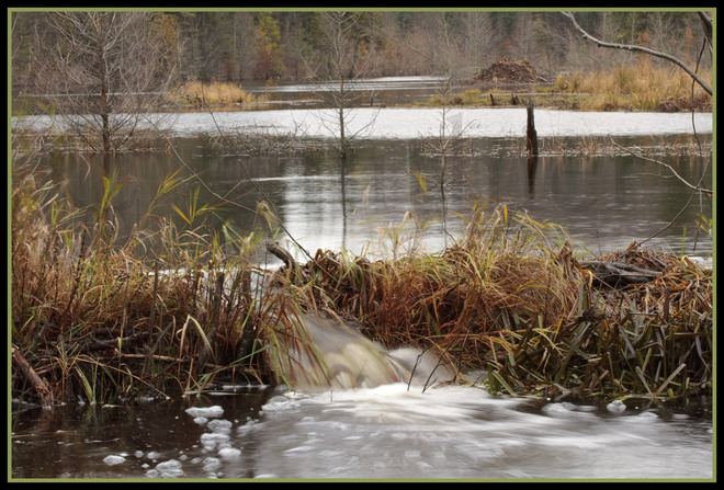 Again....lots of water moving through the area. Magnetawan, Ontario Canada