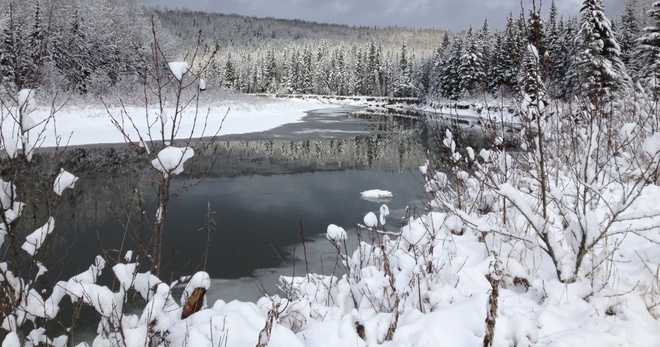Winter hits alberta Lodgepole, Alberta Canada