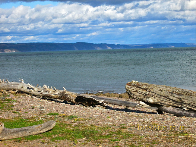 driftwood beach Advocate Harbour, Nova Scotia Canada