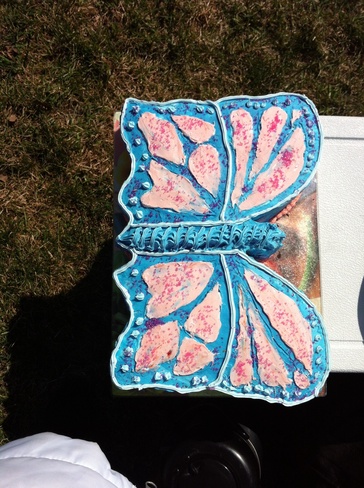 Butterfly cake on grass Ottawa, Ontario Canada