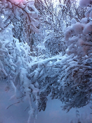 winter is here! Hepburn, Saskatchewan Canada