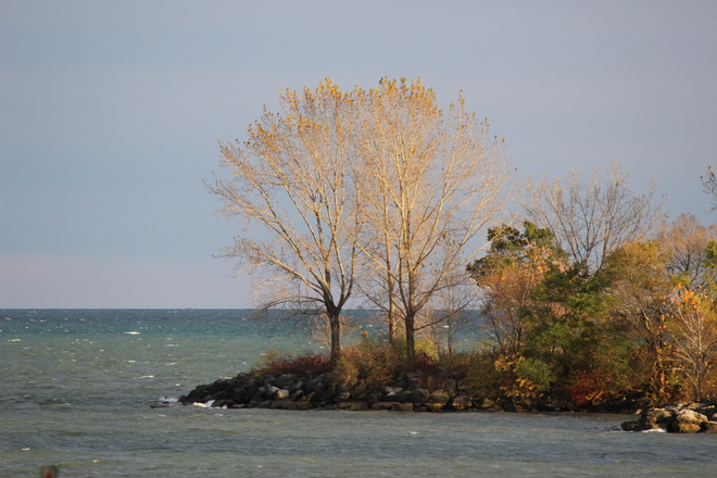 Windy autumn day( Lake Ontario) Toronto, Ontario Canada