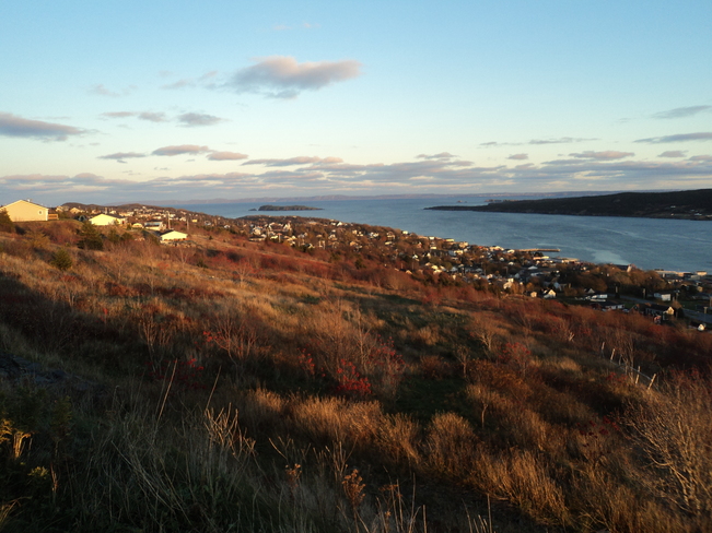 The Town under the red sunset Carbonear, Newfoundland and Labrador Canada