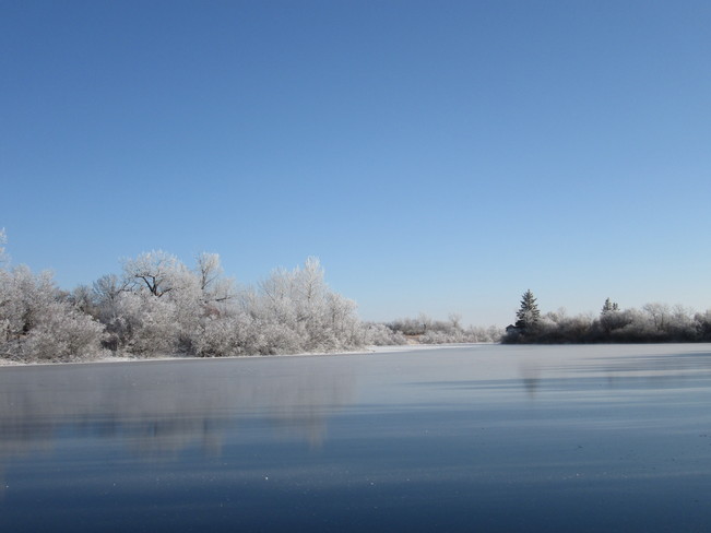 Ice and Frost Kindersley, Saskatchewan Canada