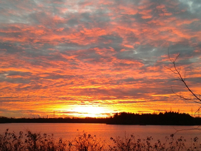 The Dawn Over Beaverdam Thorold, Ontario Canada
