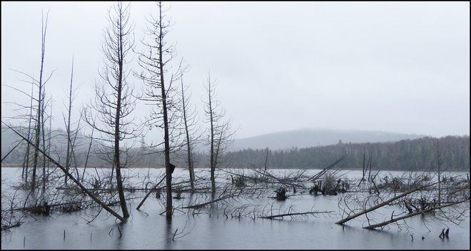 Sherriff Creek, rainy day in Elliot Lake. Elliot Lake, Ontario Canada
