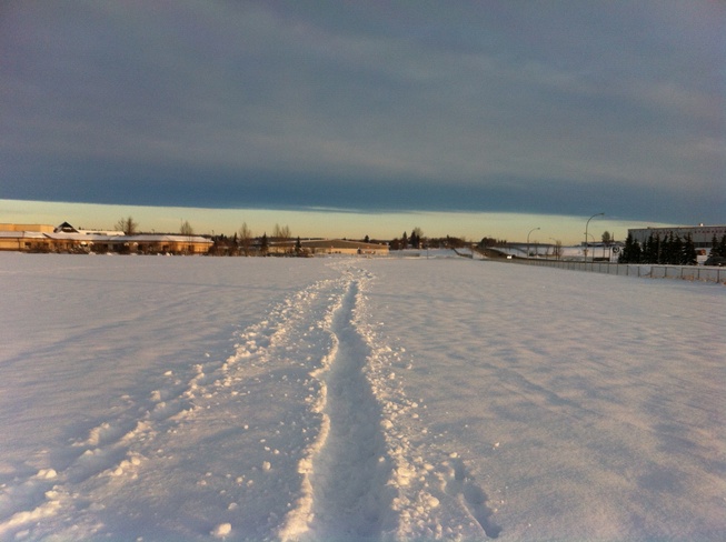beautiful snowy day Ponoka, Alberta Canada