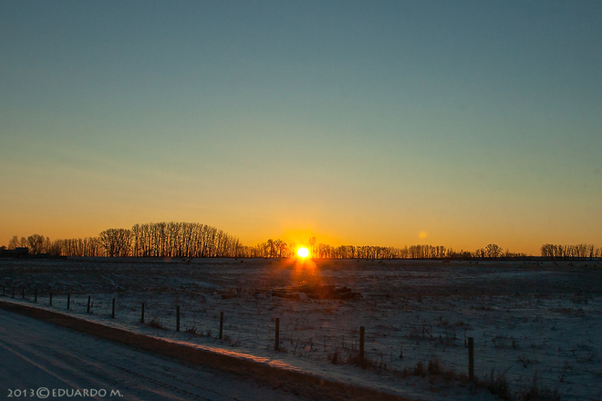 Sunrise (over trees, fields and fencepost) Strathmore, Alberta Canada