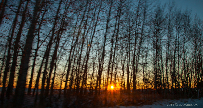 Sunrise (behind blurred trees) Strathmore, Alberta Canada