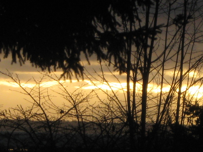 golden sky Surrey, British Columbia Canada