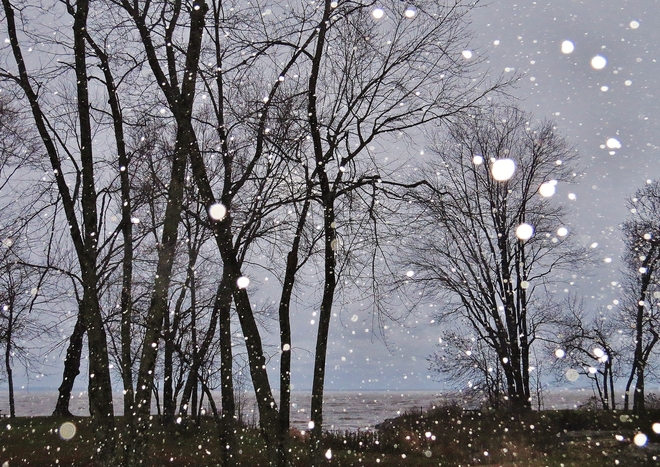 Flashing the snowflakes in the park. North Bay, Ontario Canada