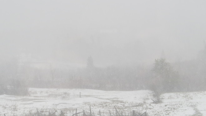 near white out conditions Rutherglen, Ontario Canada