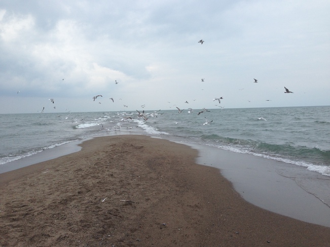 Tip of Point Pelee Leamington, Ontario Canada