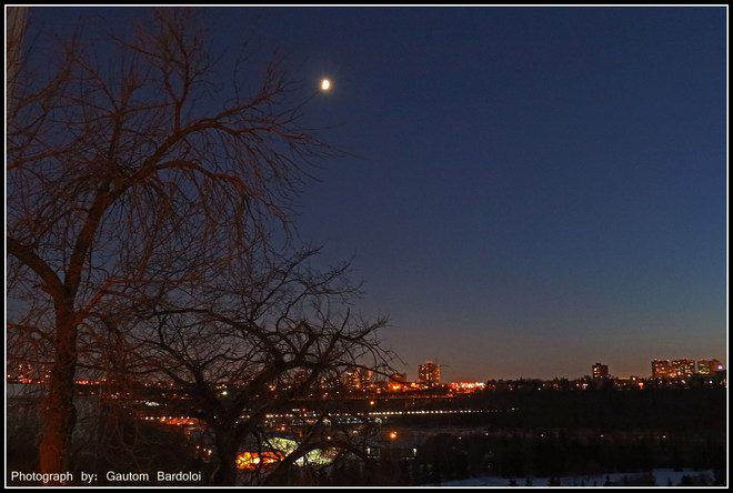 Moon on the tree! Edmonton, Alberta Canada