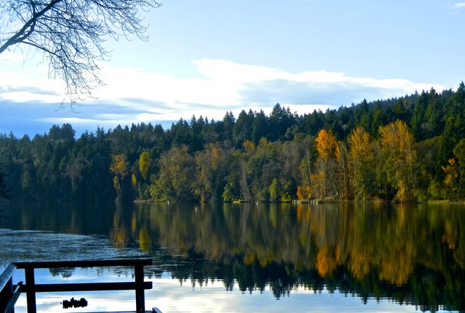 reflection on still waters Victoria, British Columbia Canada
