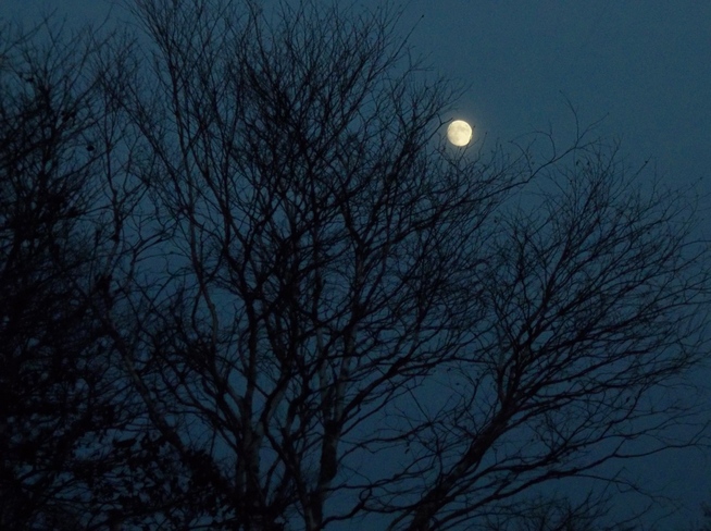 Moonrise in West Saint John Saint John, New Brunswick Canada
