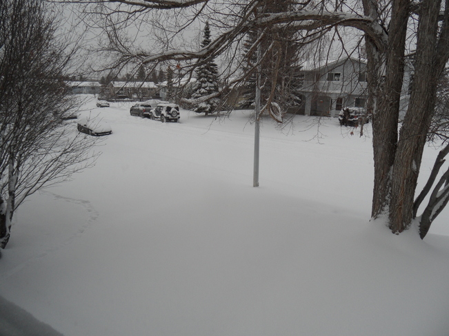 20cm snowfall hits Edson Edson, Alberta Canada
