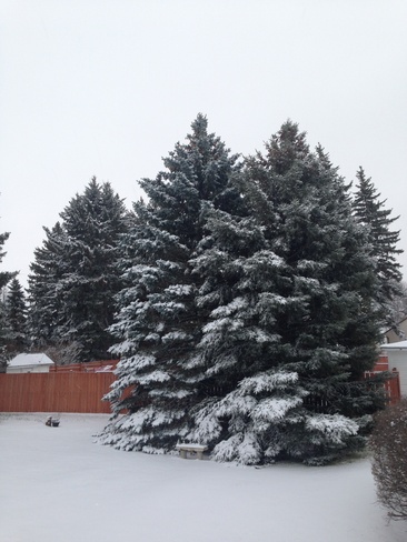 Winter has arrived Treherne, Manitoba Canada
