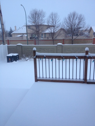 and still snowing !!!! Regina, Saskatchewan Canada