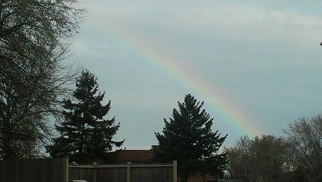 Rainbow surprise St. Catharines, Ontario Canada