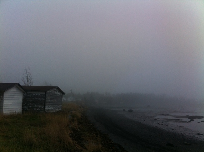 Foggy Backyard Gander, Newfoundland and Labrador Canada