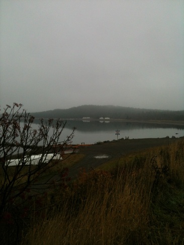 Foggy morning Birchy Bay, Newfoundland and Labrador Canada