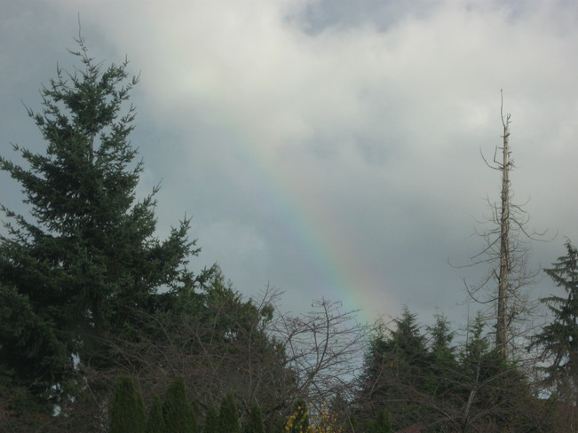 rainbow Surrey, British Columbia Canada