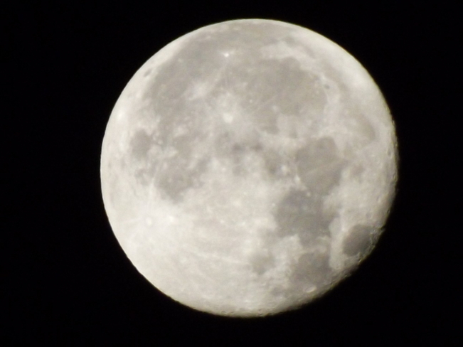 5 a.m. moon Port Williams, Nova Scotia Canada