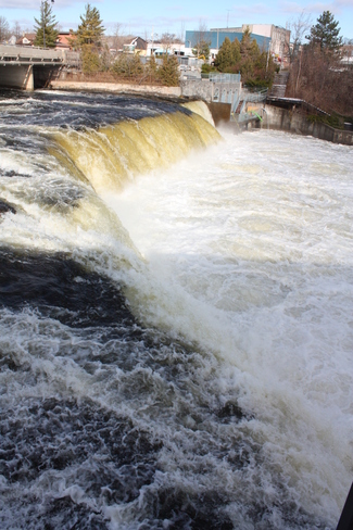 Check out the Falls Fenelon Falls, Ontario Canada