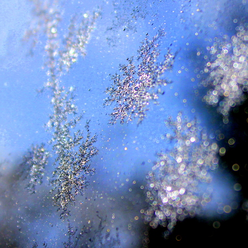 frosty glitter Surrey, British Columbia Canada