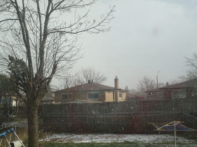 Snowfall Malton, Ontario Canada