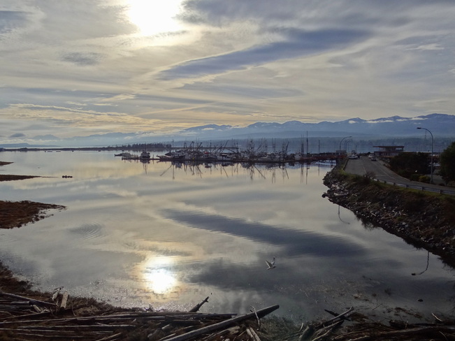 Views of the Comox Marina and Bay Comox, British Columbia Canada