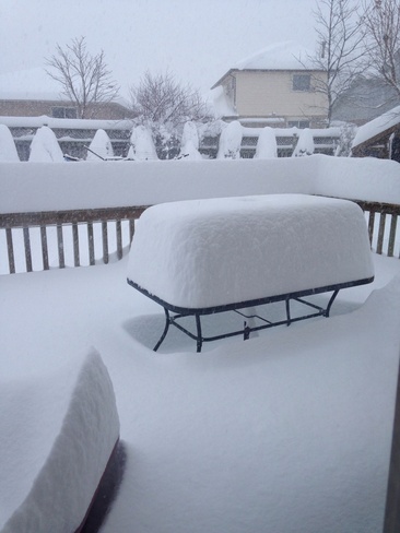 too much snow!!! London, Ontario Canada